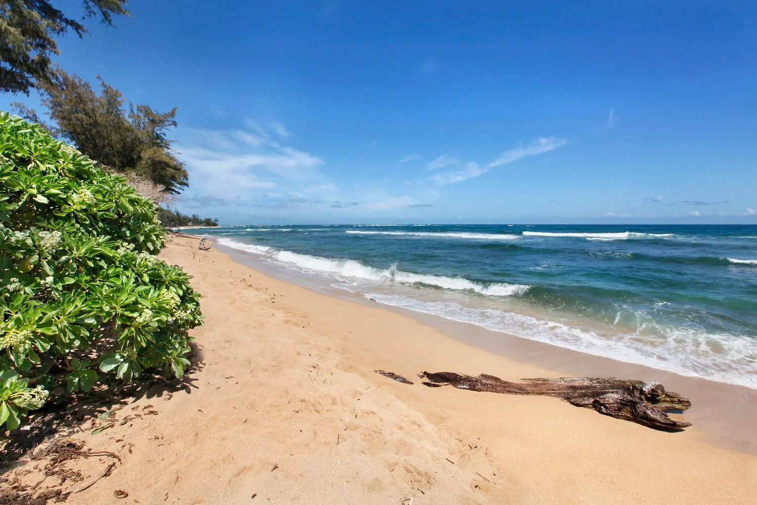 Islander On The Beach 258 Wailua